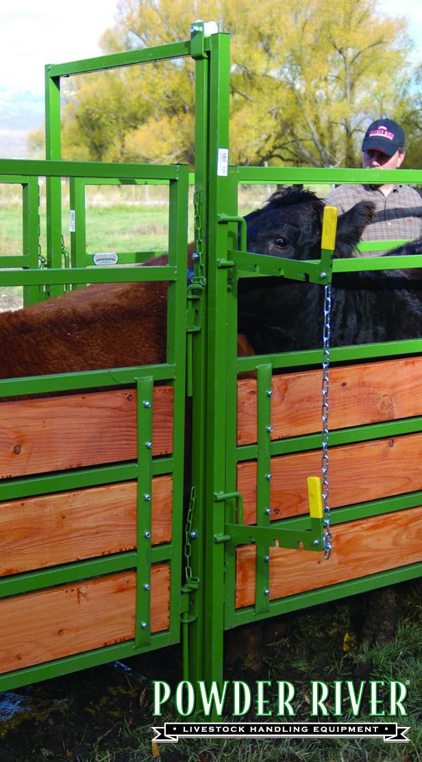 Powder River Portable Adjustable Alley Bow