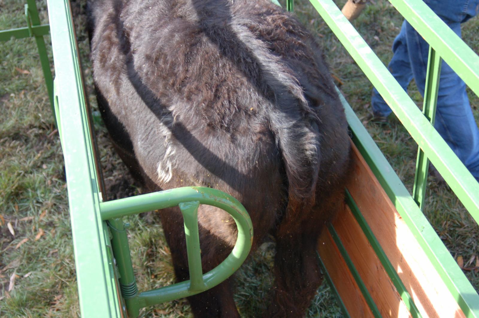Powder River Alley Stop