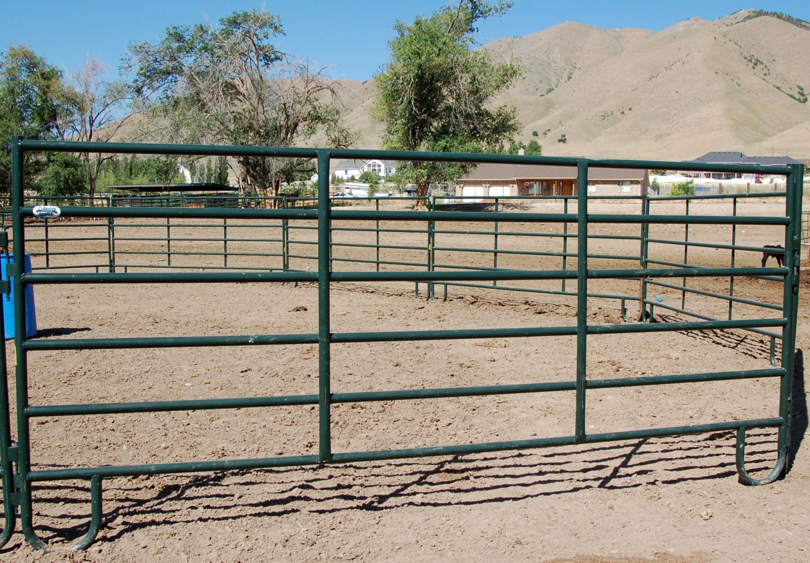 Powder River Powder Creek Panel 12' x 64"